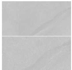 Monopole Galaxy Gray